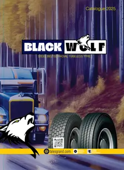 Black Wolf Tyre Models BW697 and BW797 - Steel Belted Radial Tubeless Tyres for 2025